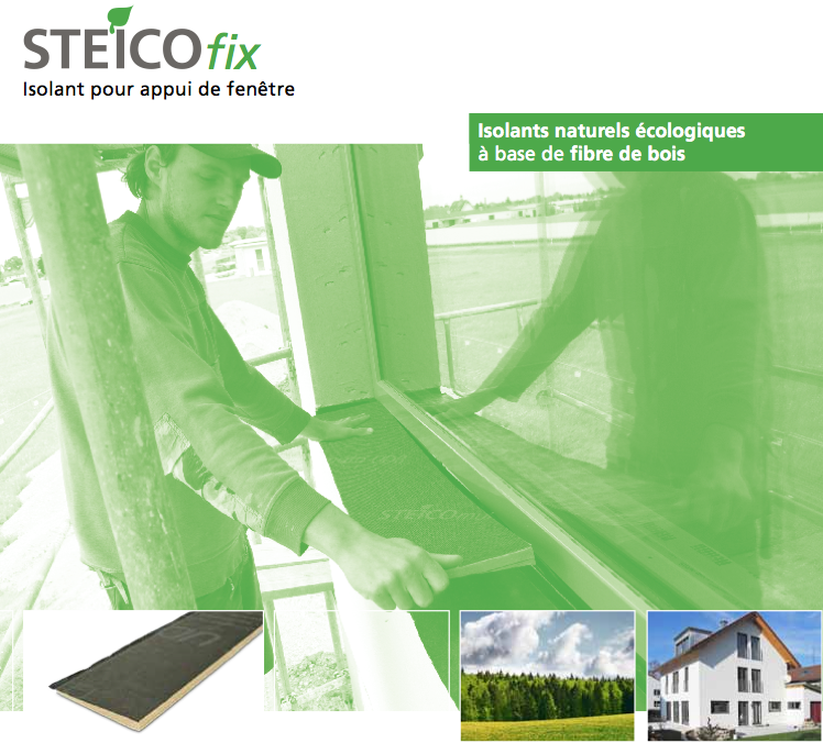 STEICO fix