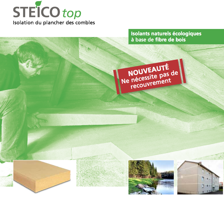 STEICO top
