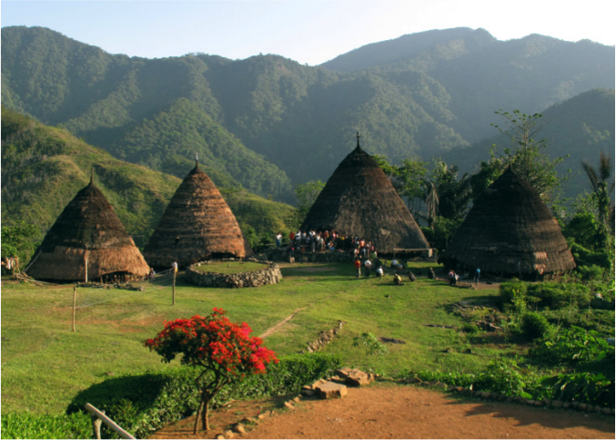 Flores Island : Mbaru Niang préservation