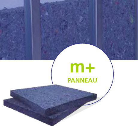 Métisse M+
