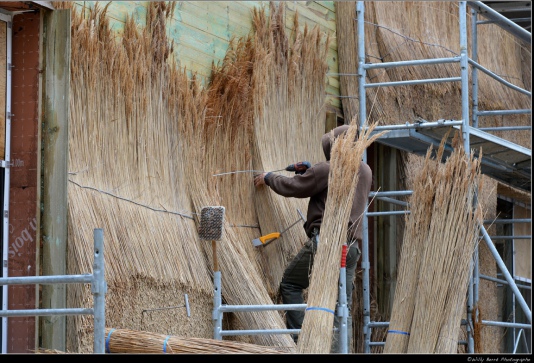 Museum-and-Biodiversity-Research-Centre-by-GuineePotin-Architectes - Courtesy Guinée Potin © Willy Berré 