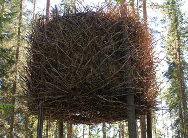 The Bird’s Nest par Inrednin Gsgruppen