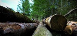 Isover prêt à investir le marché de la construction bois