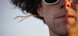 Tout sur... Les isolants de paille et autres isolants naturels