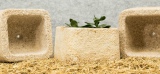 Myco Foam : un nouveau matériau 100% biodégradable qui remplace le plastique !