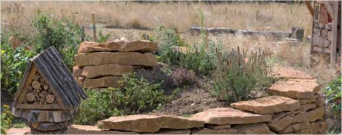 biodiversité et bati 
