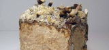 La Mycotecture : La brique champignon de Phill Ross