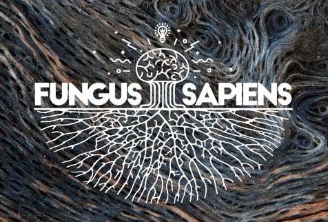 FUNGUS SAPIENS