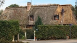 À Épaignes, un Portugais aux petits soins des toits de chaume normands