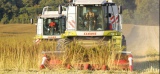 Un succès construit dans la  durée