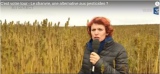 VIDEO**Le chanvre, une alternative aux pesticides ?