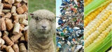 ****8 Common Materials You May Not Have Realized Are Sustainable