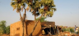 ****Les dernières maisons en terre du Sénégal