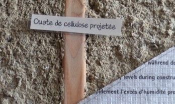 Isolation et matériaux biosourcés : caractéristiques et critères de choix