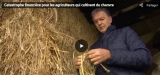 *** Les agriculteurs wallons forcés de stopper la culture du chanvre en Wallonie: 