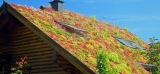 ***Focus sur les toits végétalisés, un concept écologique et innovant !