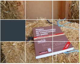 Règles Professionnelles de la construction Paille (Pro-Paille)
