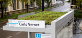 Bordeaux : la métropole végétalise les toits des stations de bus pour lutter contre les îlots de chaleur