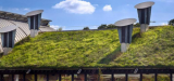 Assouplissement et bonus du PLU pour la construction de toitures et murs végétalisés