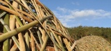 Un tunnel de 100m de long fabriqué à l'aide de bambou