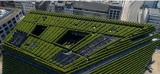 Kö-Bogen II, un bâtiment recouvert de 30 000 plantes à Düsseldorf, « une aubaine pour la biodiversité »