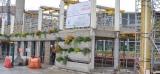 Cette entreprise de Bordeaux veut révolutionner la construction avec ses murs végétalisés | Actu Bordeaux